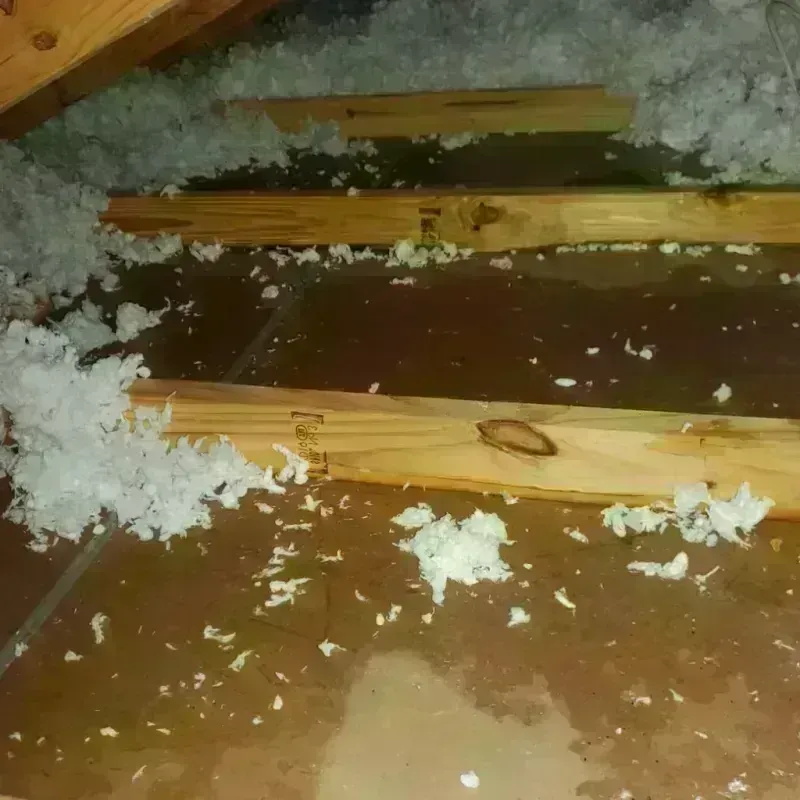 Attic Water Damage in Stamford, TX