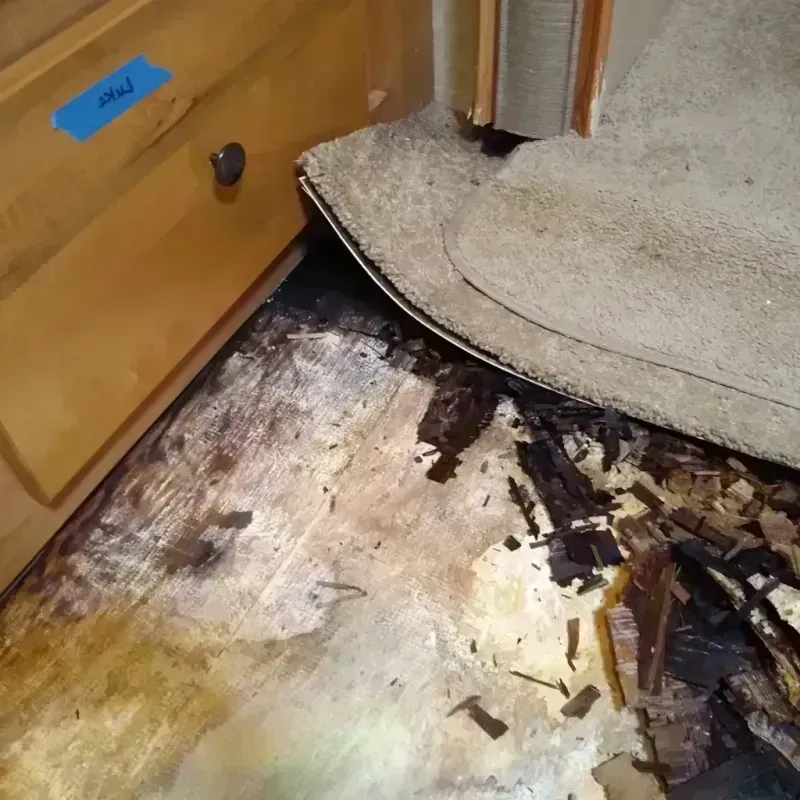 Wood Floor Water Damage in Stamford, TX